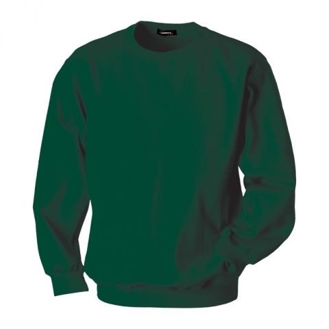 Sweatshirt, Male, Green, L, logo Garrett